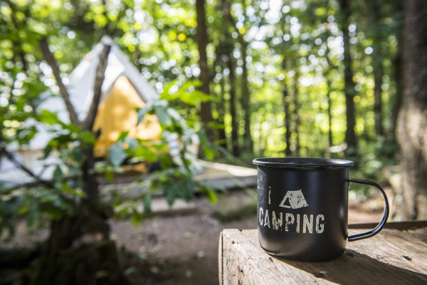 cornishwavecamp_highres_42-copy