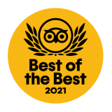 TC-BOTB-Winner_2021-500x500-bdef810