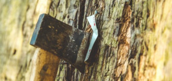 Stag Activities Newquay  