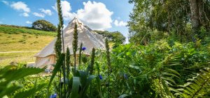 12 Reasons You Should Go Camping