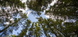 Wild Camping in Cornwall: the perfect weekend away