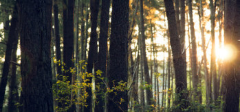 Corporate Adventure Days UK